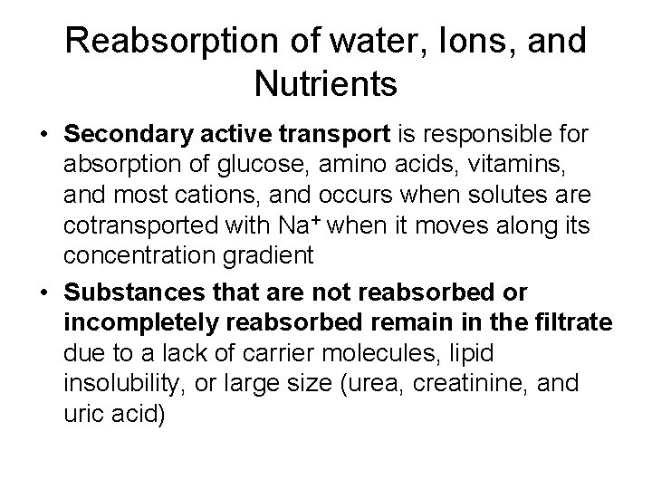 Reabsorption of water, Ions, and Nutrients • Secondary active transport is responsible for absorption
