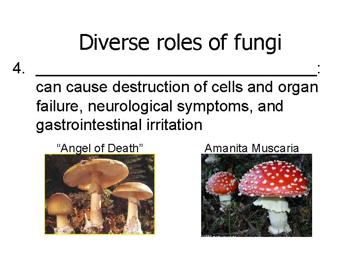 Diverse roles of fungi 4. ________________: can cause destruction of cells and organ failure,