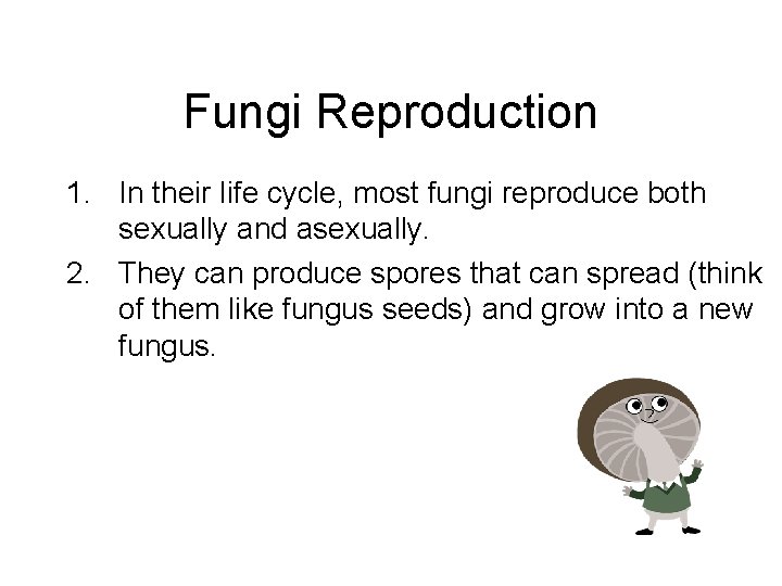 Fungi Reproduction 1. In their life cycle, most fungi reproduce both sexually and asexually.