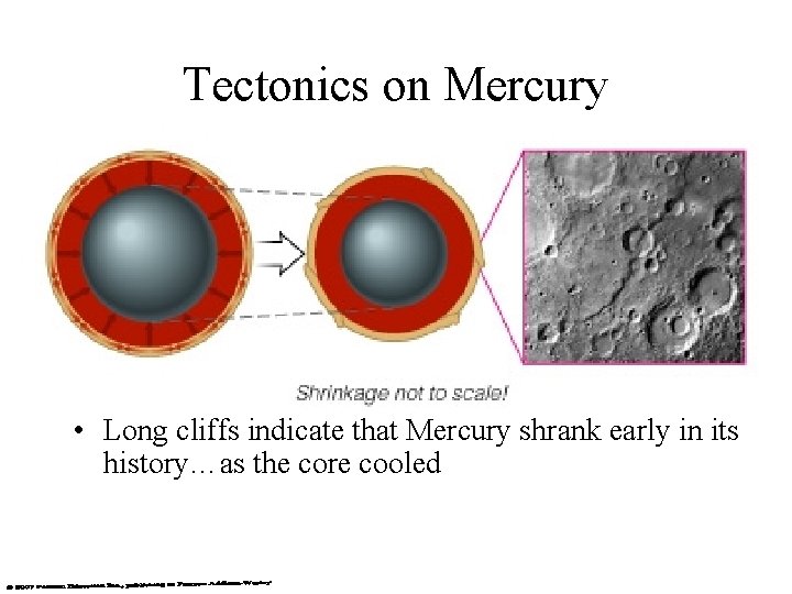Tectonics on Mercury • Long cliffs indicate that Mercury shrank early in its history…as