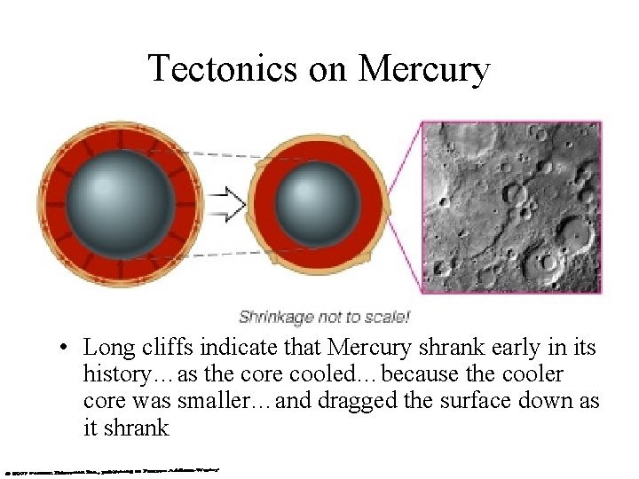 Tectonics on Mercury • Long cliffs indicate that Mercury shrank early in its history…as