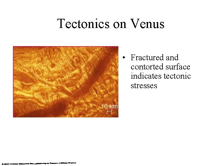 Tectonics on Venus • Fractured and contorted surface indicates tectonic stresses 