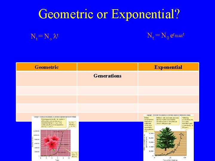 Geometric or Exponential? Nt = N o t Nt = N 0 ermaxt Geometric