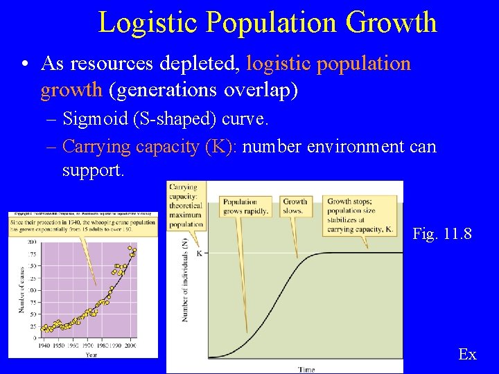 Logistic Population Growth • As resources depleted, logistic population growth (generations overlap) – Sigmoid