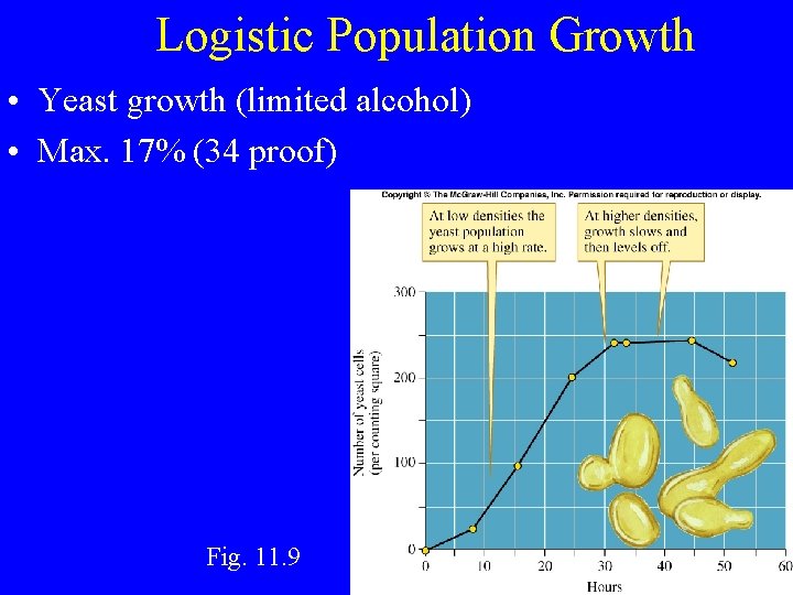 Logistic Population Growth • Yeast growth (limited alcohol) • Max. 17% (34 proof) Fig.