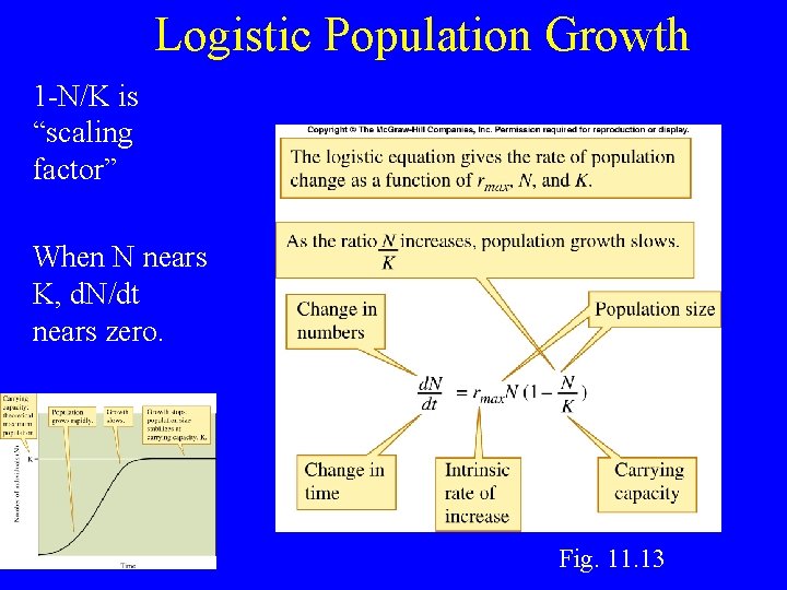 Logistic Population Growth 1 -N/K is “scaling factor” When N nears K, d. N/dt