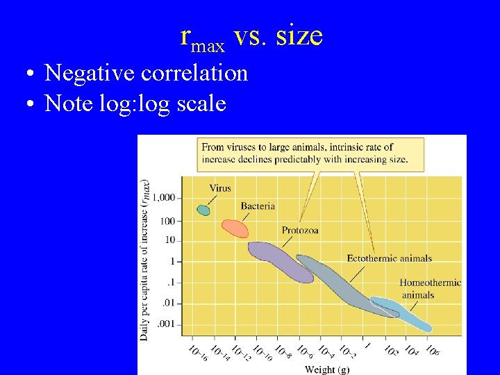 rmax vs. size • Negative correlation • Note log: log scale 