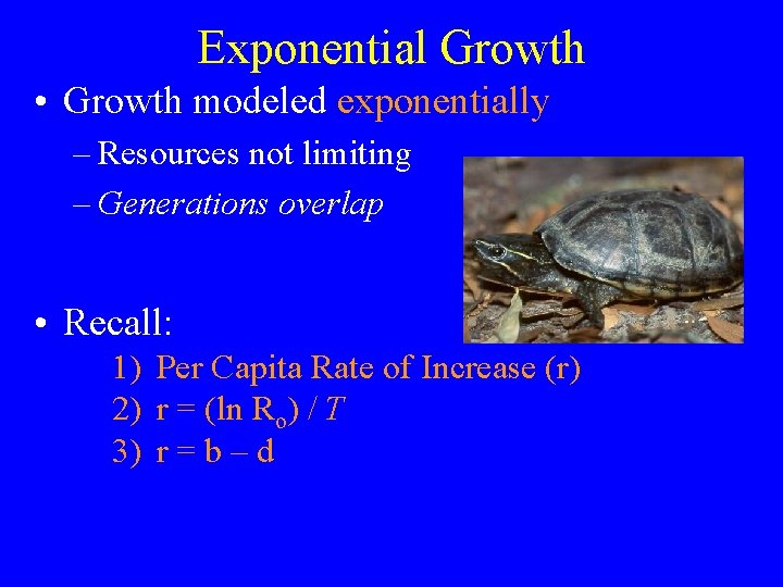 Exponential Growth • Growth modeled exponentially – Resources not limiting – Generations overlap •