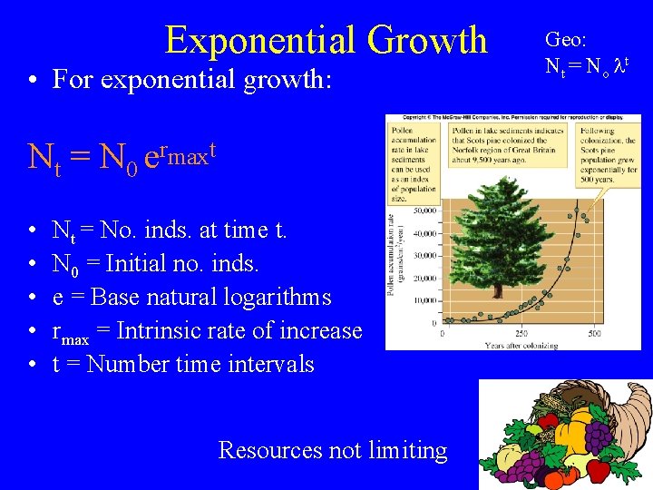 Exponential Growth • For exponential growth: Nt = N 0 ermaxt • • •