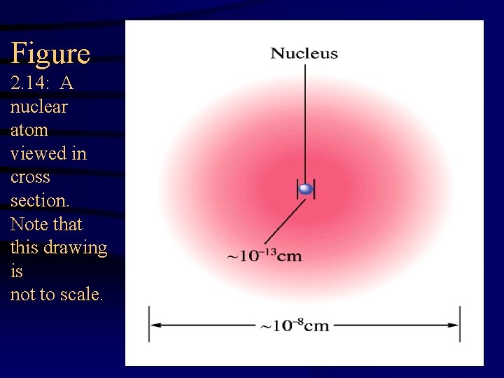 Figure 2. 14: A nuclear atom viewed in cross section. Note that this drawing