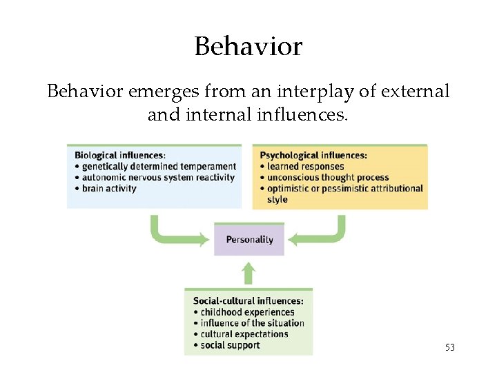 Behavior emerges from an interplay of external and internal influences. 53 