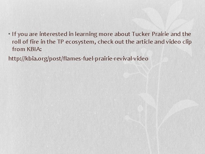  • If you are interested in learning more about Tucker Prairie and the