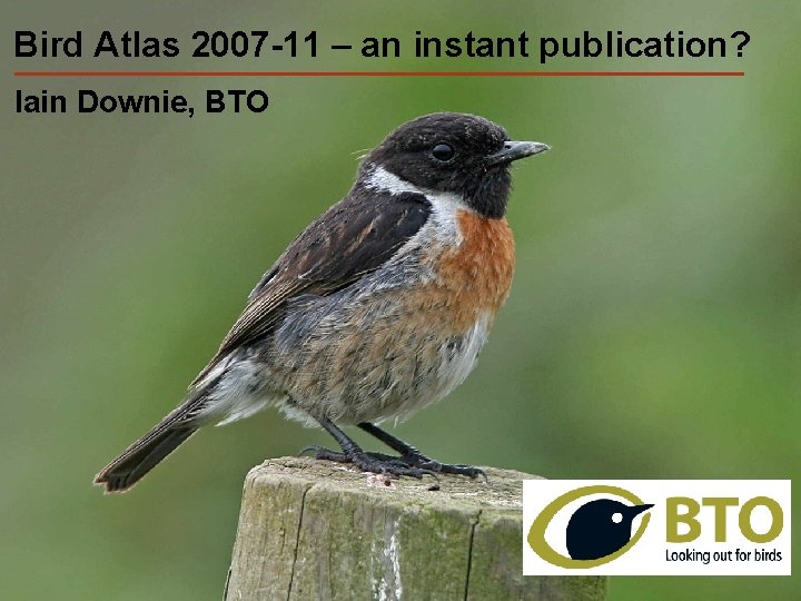 Bird 2007 -11 – an–instant publication? Bird. Atlas 2007 -11 an instant publication? Iain