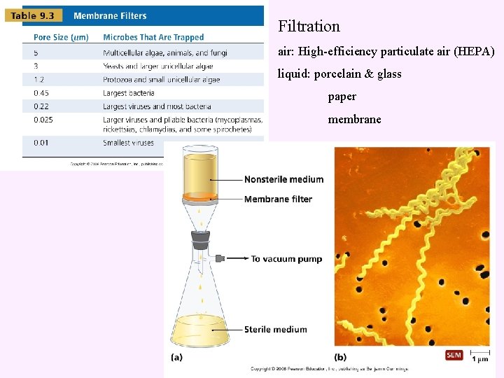 9 Control of Microbial Growth Mechanisms of action