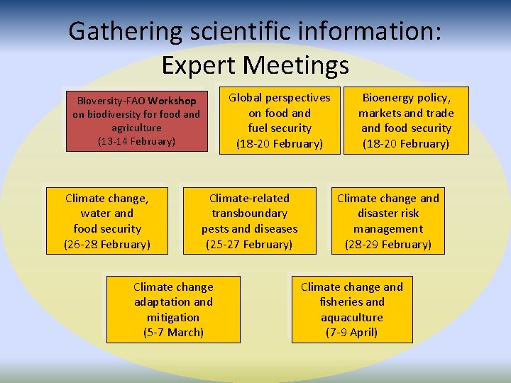 Gathering scientific information: Expert Meetings Global perspectives on food and fuel security (18 -20 Gathering scientific information: Expert Meetings Global perspectives on food and fuel security (18 -20