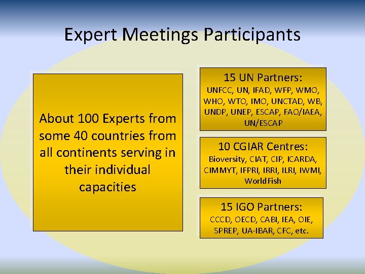 Expert Meetings Participants 15 UN Partners: About 100 Experts from some 40 countries from Expert Meetings Participants 15 UN Partners: About 100 Experts from some 40 countries from