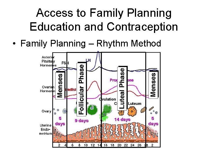 Access to Family Planning Education and Contraception • Family Planning – Rhythm Method 