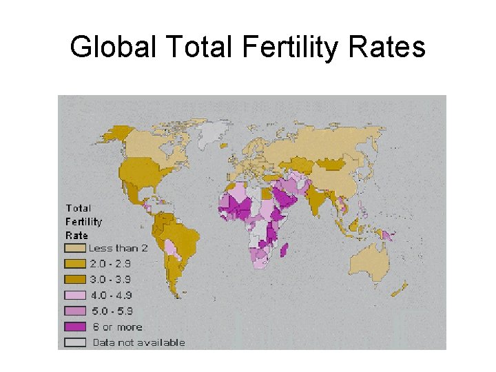 Global Total Fertility Rates 