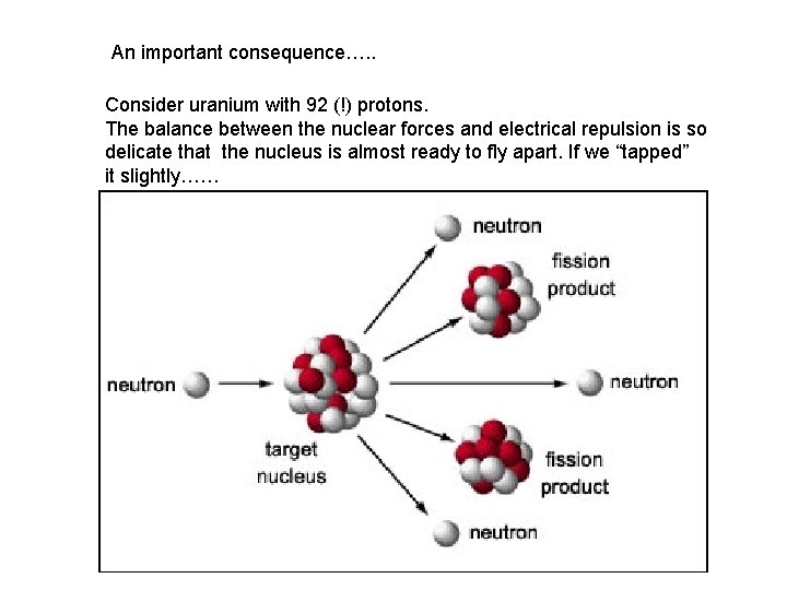 An important consequence…. . Consider uranium with 92 (!) protons. The balance between the