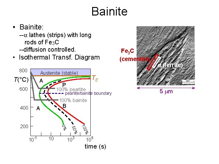 Bainite • Bainite: -- lathes (strips) with long rods of Fe 3 C --diffusion