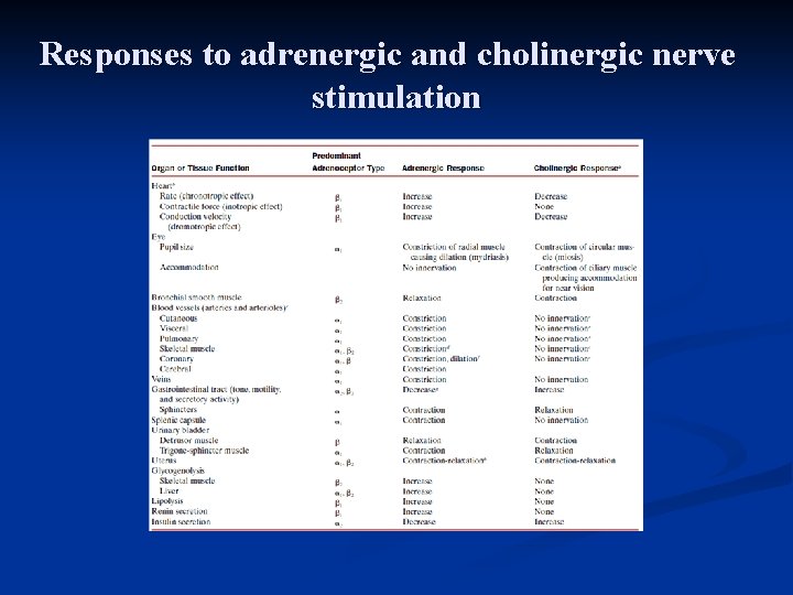 Responses to adrenergic and cholinergic nerve stimulation 