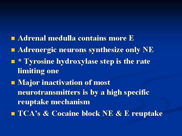 Adrenal medulla contains more E n Adrenergic neurons synthesize only NE n * Tyrosine