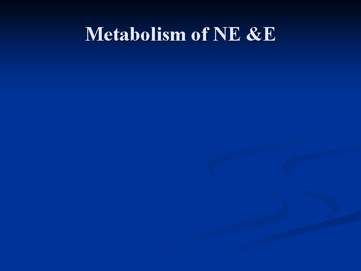 Metabolism of NE &E 