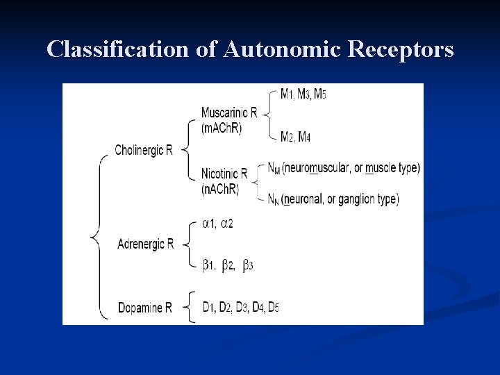 Classification of Autonomic Receptors 