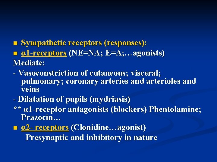 Sympathetic receptors (responses): n α 1 -receptors (NE=NA; E=A; …agonists) Mediate: - Vasoconstriction of