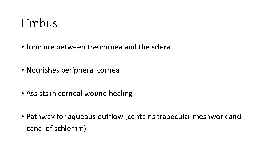 Limbus • Juncture between the cornea and the sclera • Nourishes peripheral cornea •