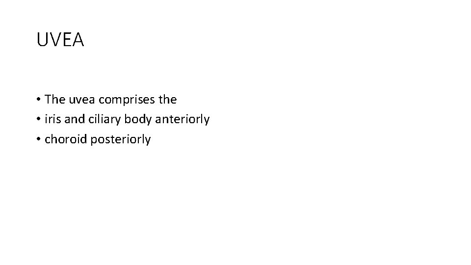 UVEA • The uvea comprises the • iris and ciliary body anteriorly • choroid