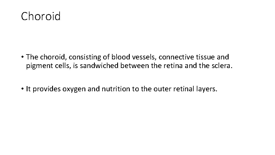 Choroid • The choroid, consisting of blood vessels, connective tissue and pigment cells, is