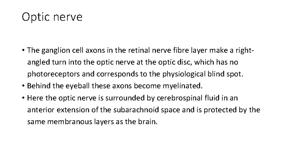 Optic nerve • The ganglion cell axons in the retinal nerve fibre layer make