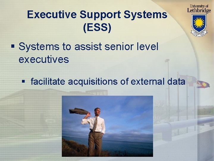 Executive Support Systems (ESS) § Systems to assist senior level executives § facilitate acquisitions