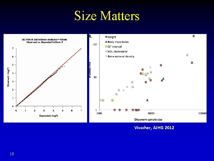 Size Matters Visscher, AJHG 2012 19 