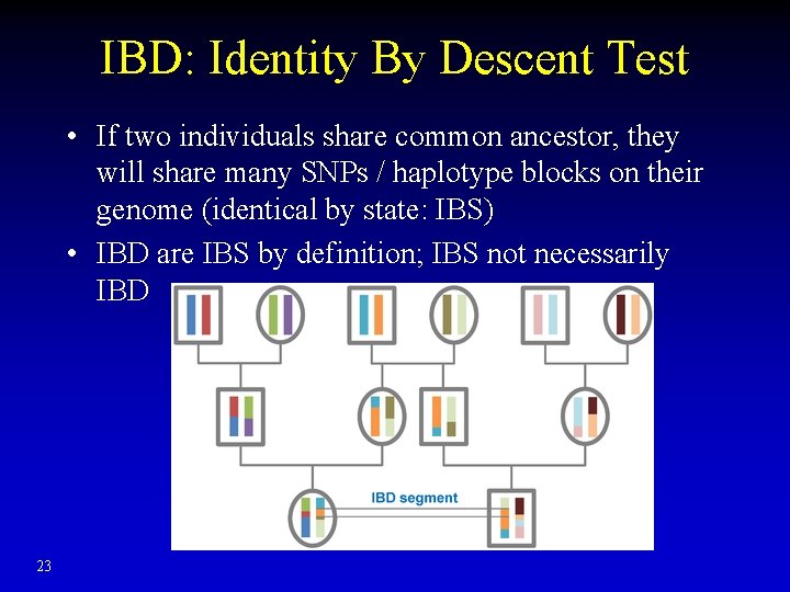 IBD: Identity By Descent Test • If two individuals share common ancestor, they will