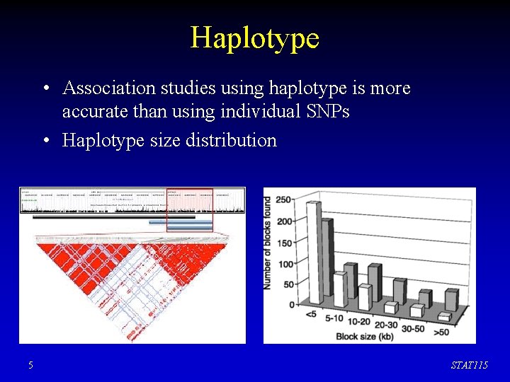 Haplotype • Association studies using haplotype is more accurate than using individual SNPs •