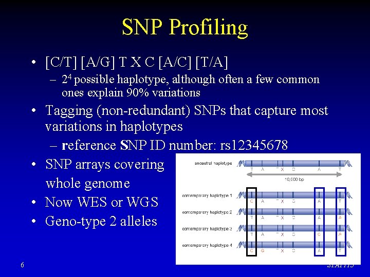 SNP Profiling • [C/T] [A/G] T X C [A/C] [T/A] – 24 possible haplotype,