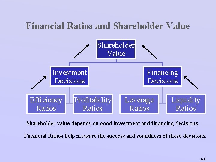 Financial Ratios and Shareholder Value Investment Decisions Efficiency Ratios Profitability Ratios Financing Decisions Leverage