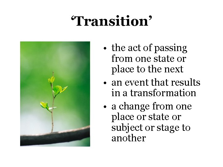 ‘Transition’ • the act of passing from one state or place to the next