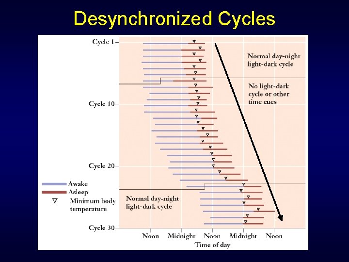 Desynchronized Cycles 