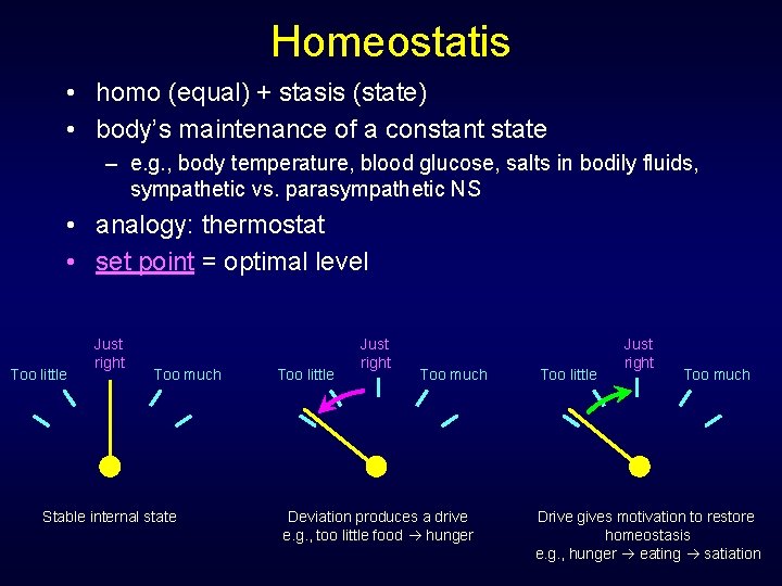 Homeostatis • homo (equal) + stasis (state) • body’s maintenance of a constant state