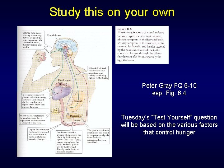 Study this on your own Peter Gray FQ 6 -10 esp. Fig. 6. 4