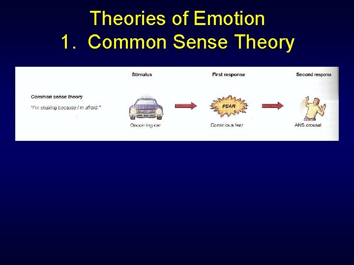 Theories of Emotion 1. Common Sense Theory 