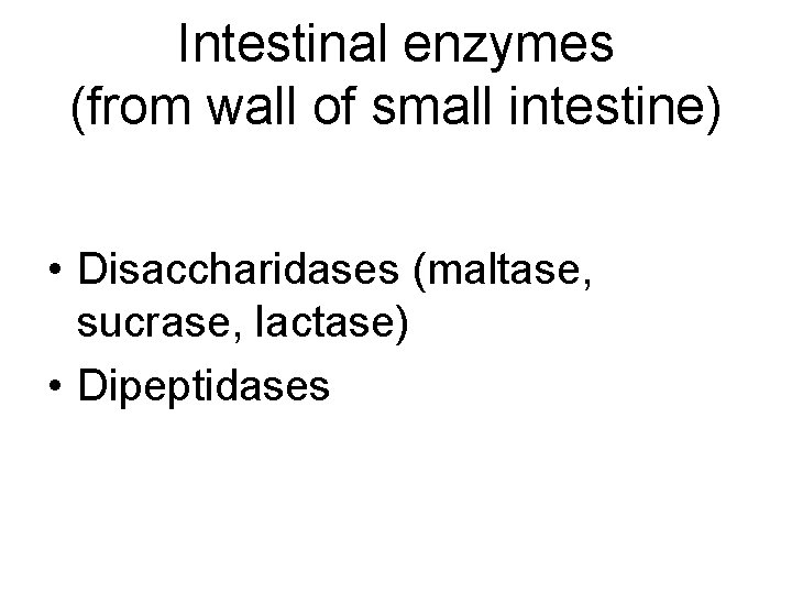 Intestinal enzymes (from wall of small intestine) • Disaccharidases (maltase, sucrase, lactase) • Dipeptidases