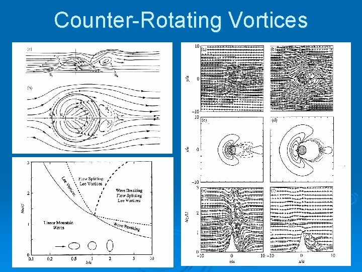 Counter-Rotating Vortices 