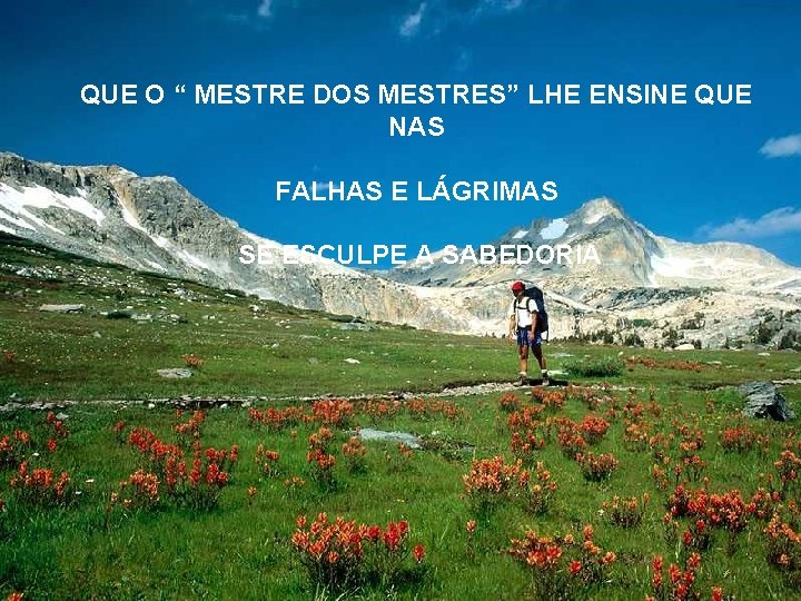 QUE O “ MESTRE DOS MESTRES” LHE ENSINE QUE NAS FALHAS E LÁGRIMAS SE