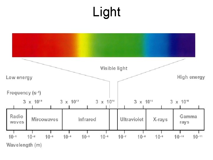 Light Light