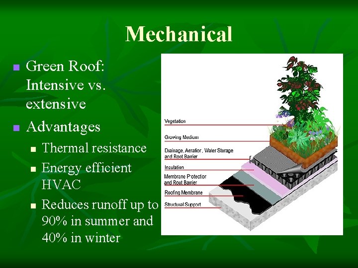 Mechanical n n Green Roof: Intensive vs. extensive Advantages n n n Thermal resistance