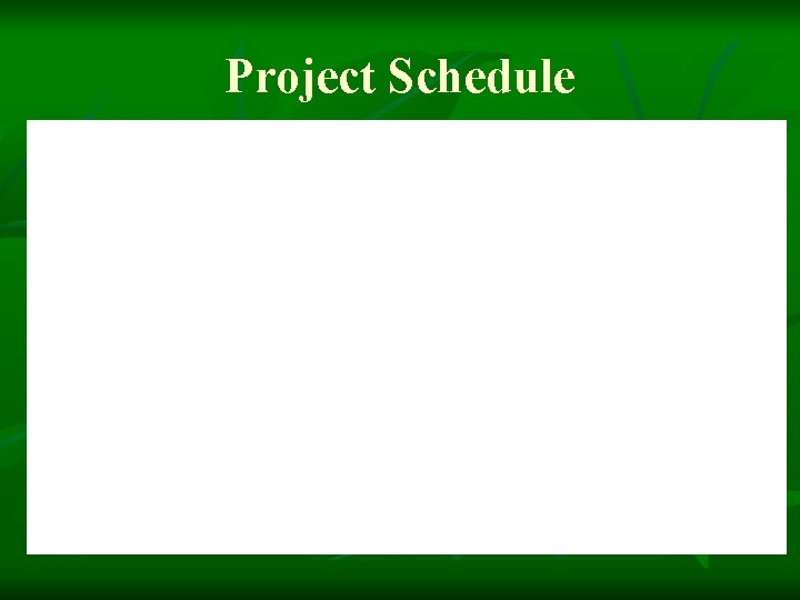 Project Schedule 